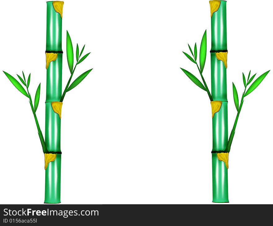 The bamboo trees and leaves designed by illustration