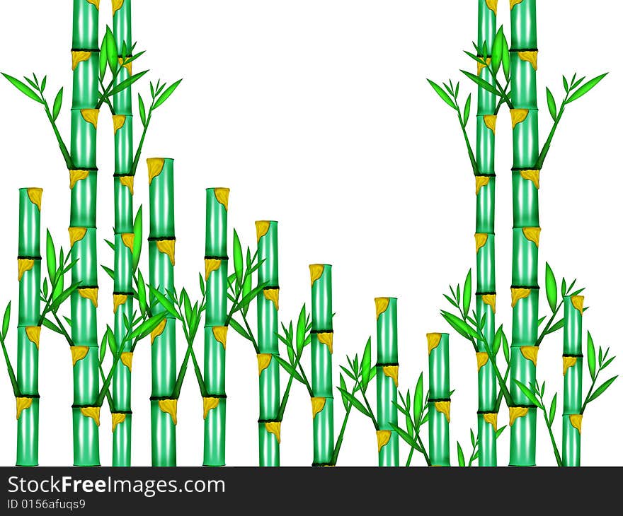 The bamboo trees and leaves designed by illustration