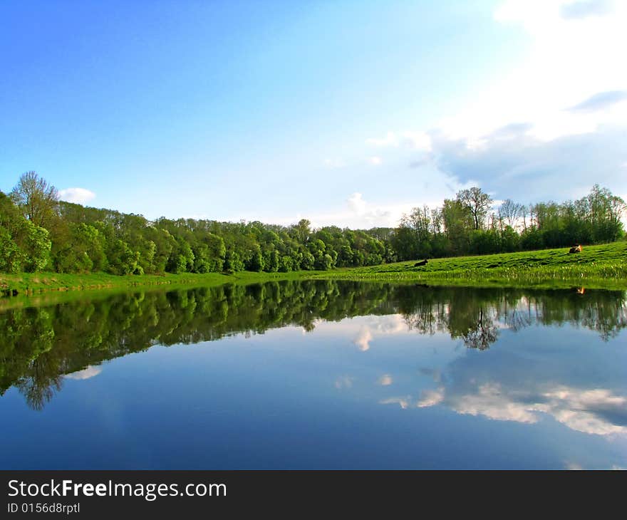 River bank, cows and sky reflectoin on water