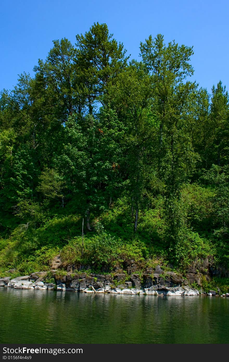 Shoreline of tha Sandy River with green trees and a clear blue sky. Shoreline of tha Sandy River with green trees and a clear blue sky