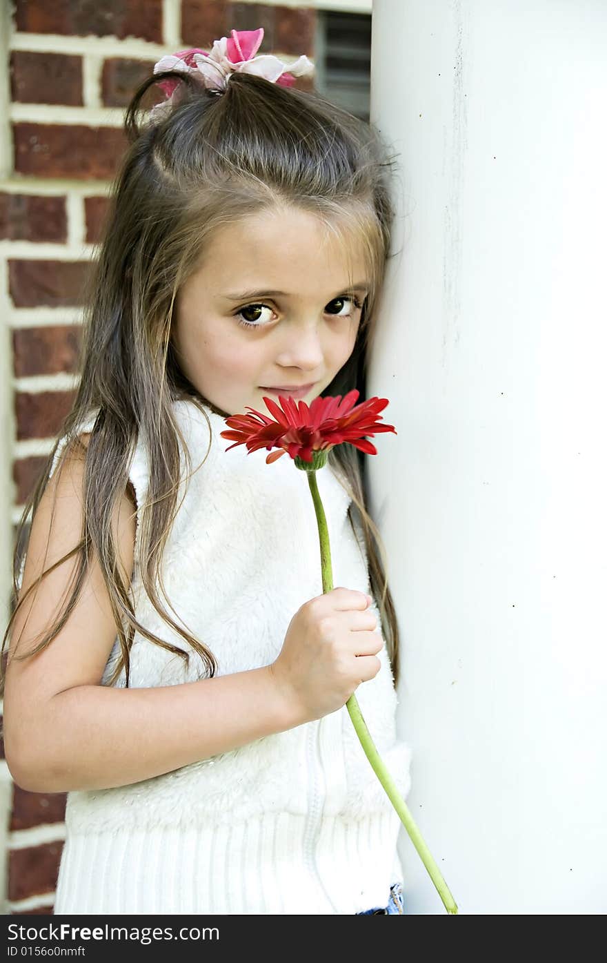 Little girl standing holding a red gerber daisy. Little girl standing holding a red gerber daisy.