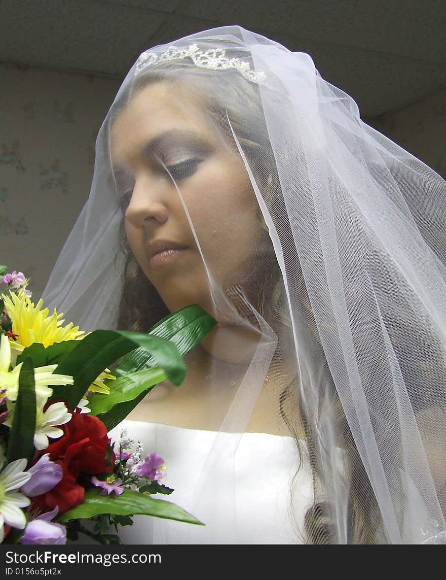 Bride veiled