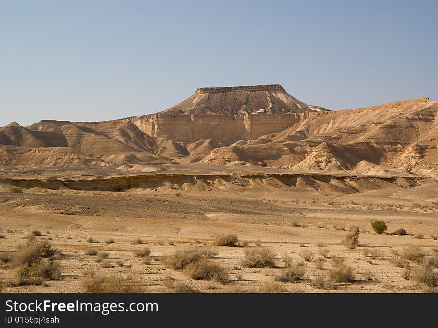 Negev desert