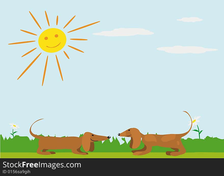 Vector illustration of two dachshund on the meadow