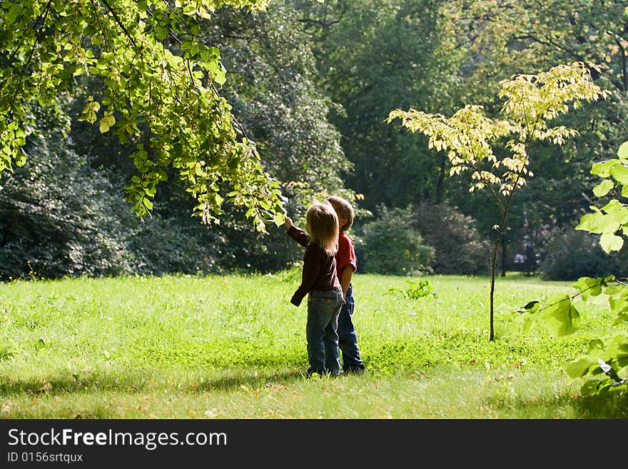 Little boy and girl look at the leaves of tree. Little boy and girl look at the leaves of tree.