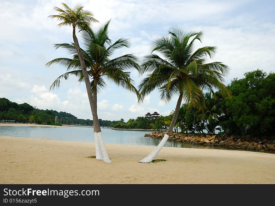 Tropical beach in sentosa, Singapore