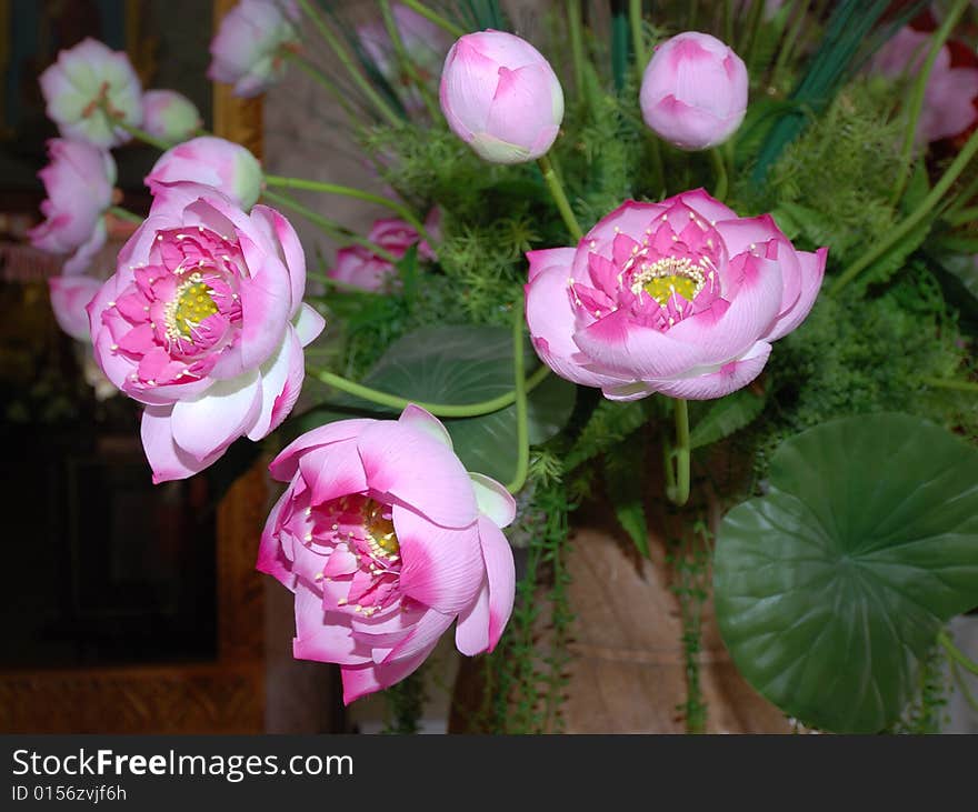 Lotuses in a buddhistic temple, Thailand