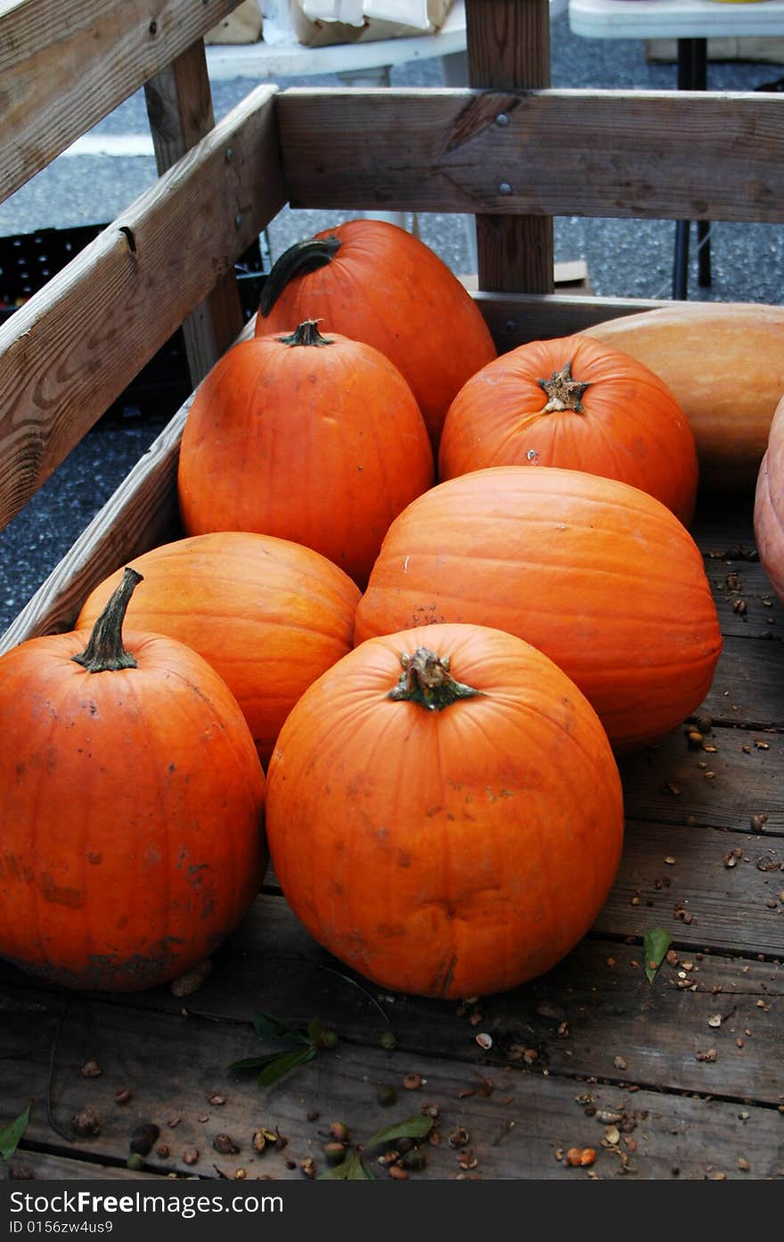 Pumpkins for sale at the market