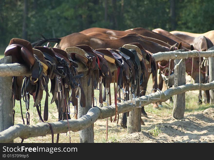 Horse saddles for riding and polo on fence