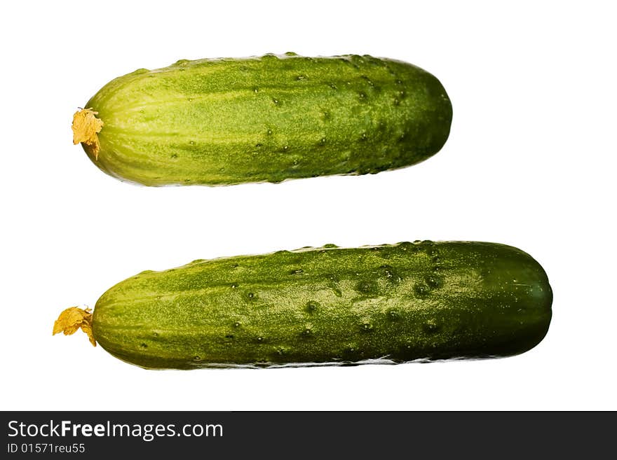 CucuMbers