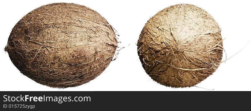 Coconuts