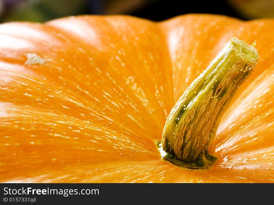 Fresh halloween pumpkin close up