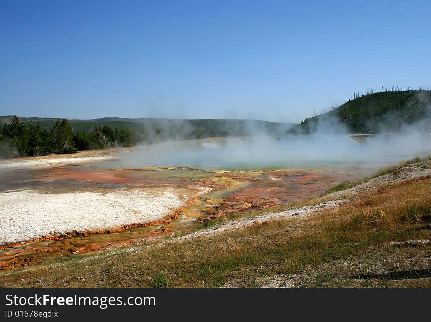 Hot basin with geysers in Yellowstone National Park