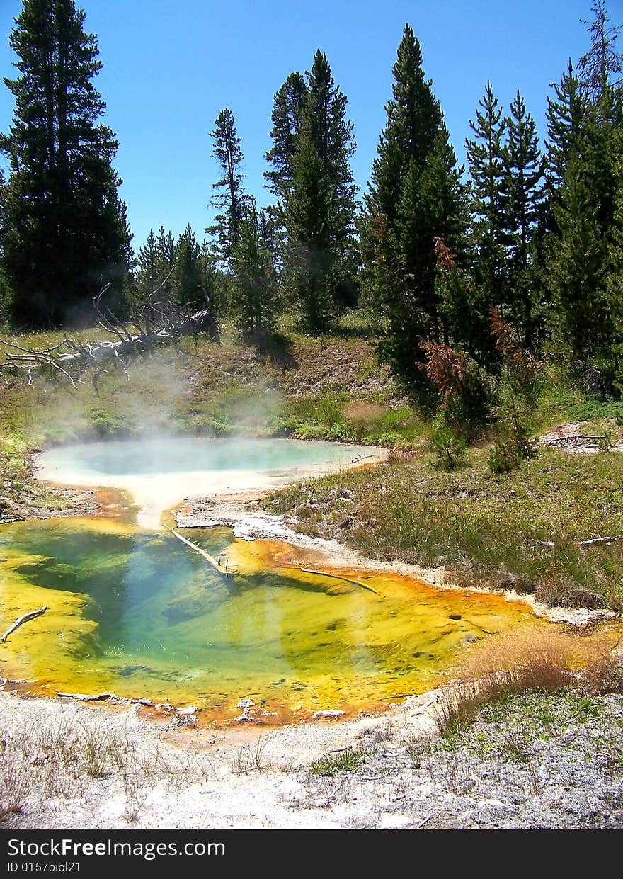 Landscape with Hot Pool