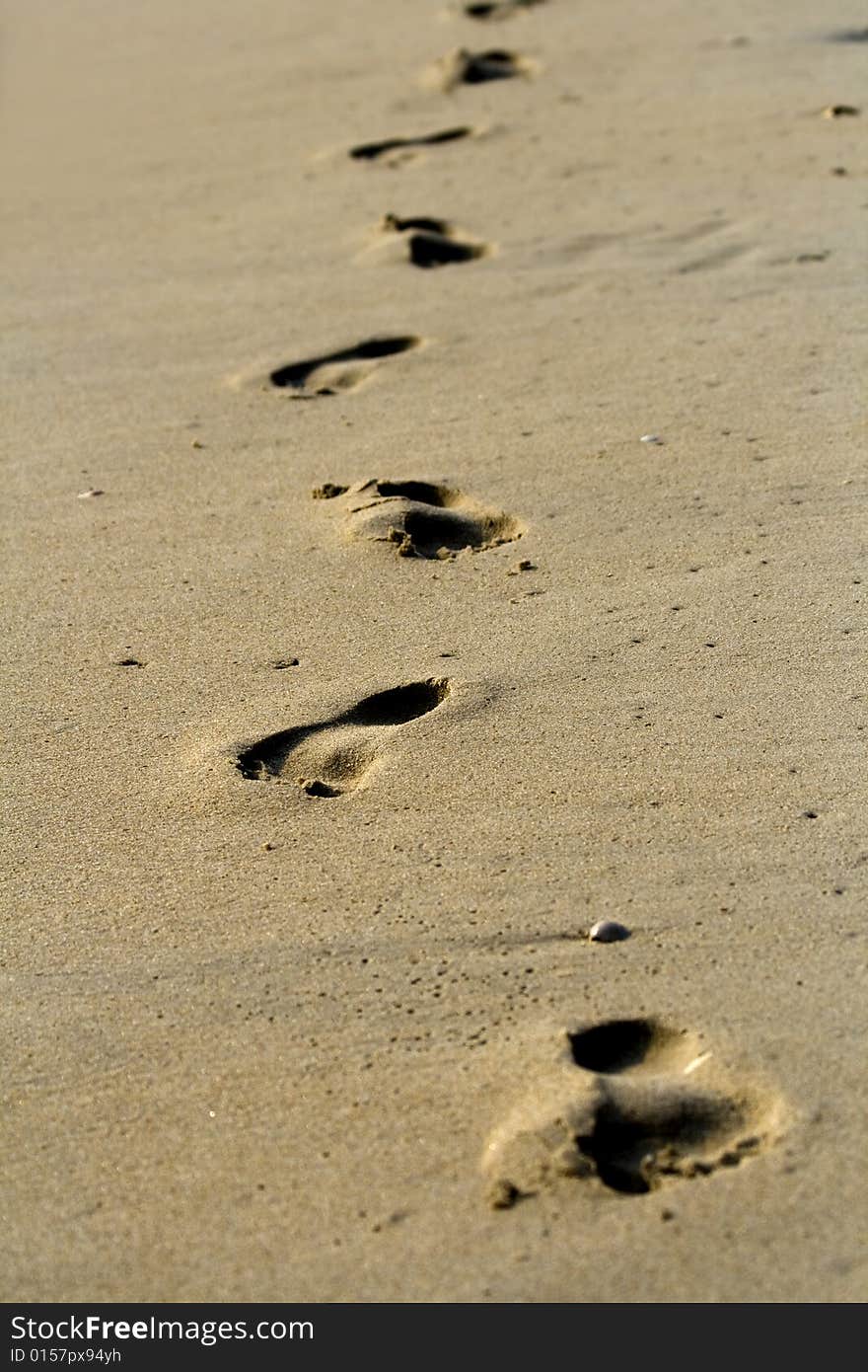 Footprints from someone walking through the sand on the beach.