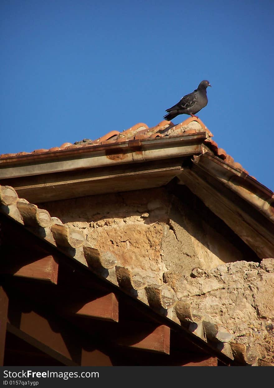 Photo was taken in Famagusta, Turkish Republic of Northern Cyprus. Photo was taken in Famagusta, Turkish Republic of Northern Cyprus.