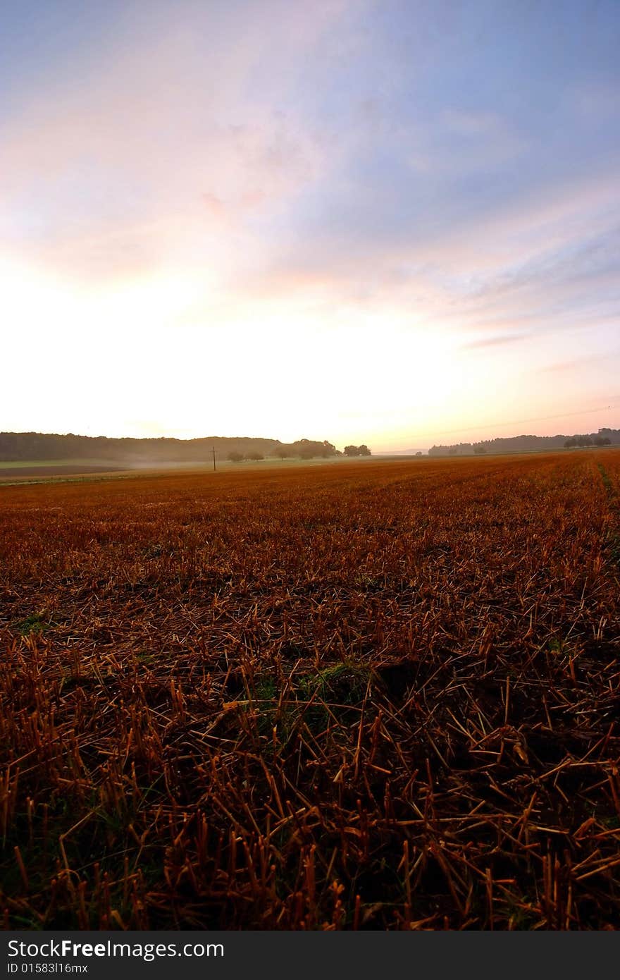 A typical field landscape scene of south west Germany. A typical field landscape scene of south west Germany