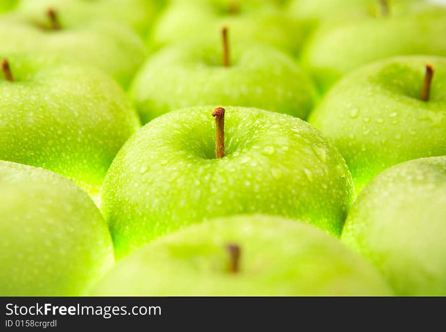 Close up of set of apples in dew. Close up of set of apples in dew