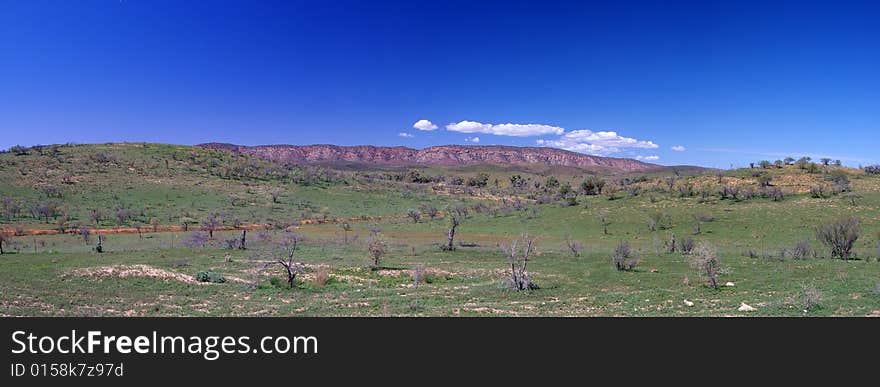 A panoramic view over the grassland in the foothills of the Elder Mountain Range in spring time. Flinders Ranges National Park, South Australia. A panoramic view over the grassland in the foothills of the Elder Mountain Range in spring time. Flinders Ranges National Park, South Australia.