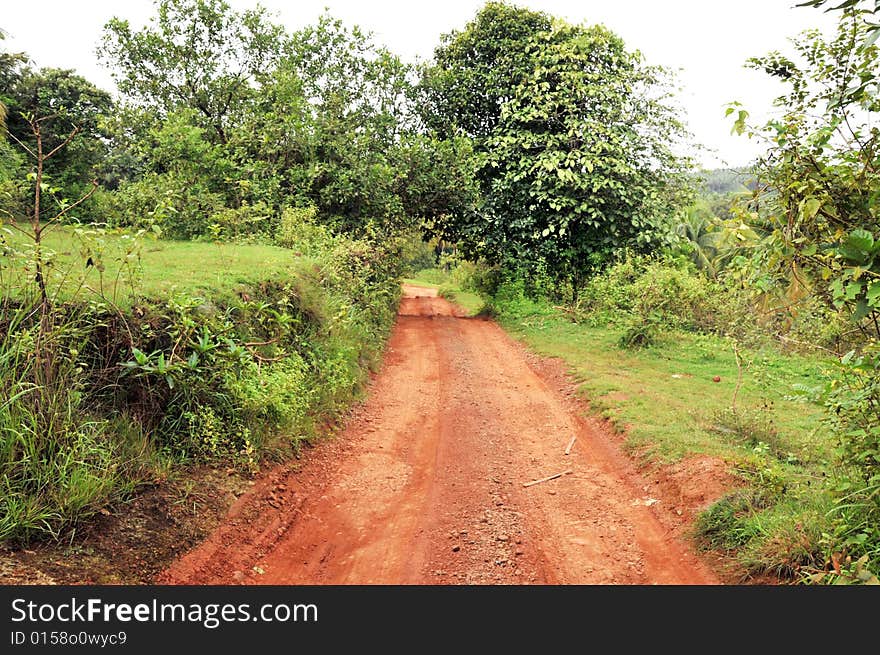 A beautiful road in Kerala, India. A beautiful road in Kerala, India