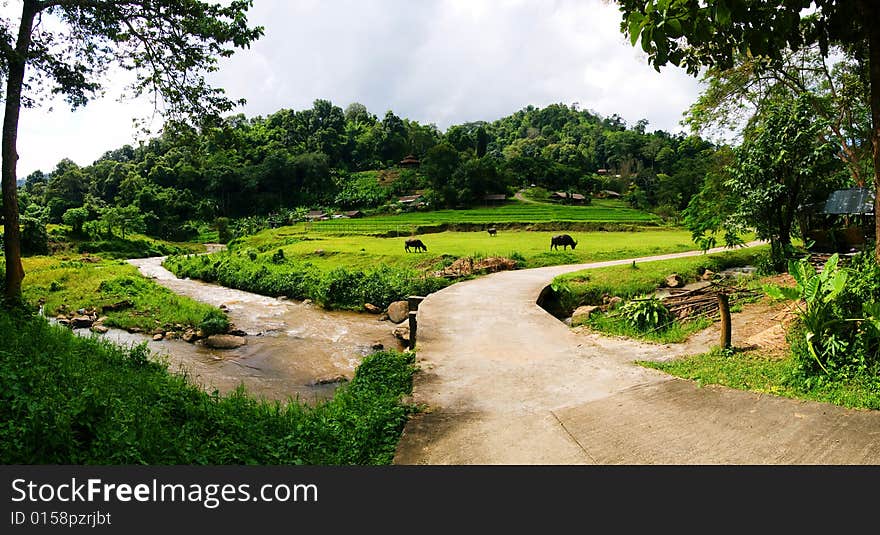 A farm located on the side of a hill in the countryside. A farm located on the side of a hill in the countryside.