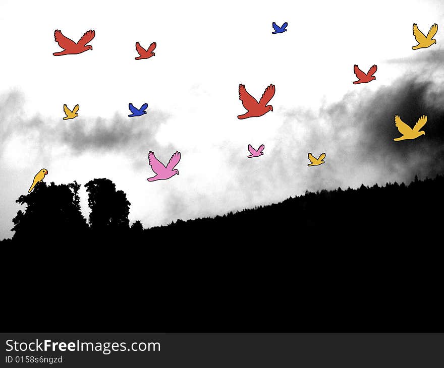 Birds Migrating