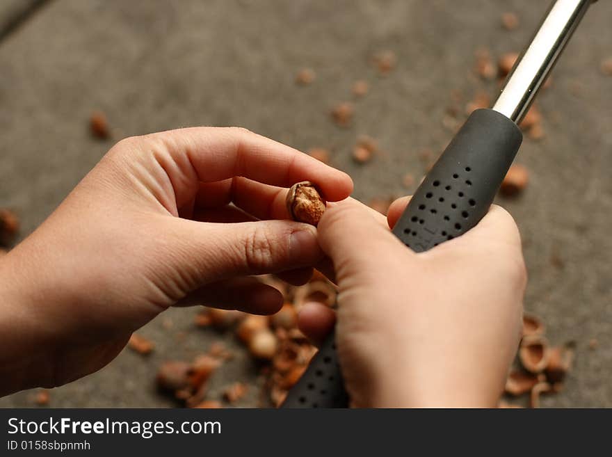 Opening a nut with bare fingers. Opening a nut with bare fingers