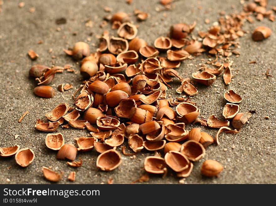 Empty nutshells lying on concrete floor