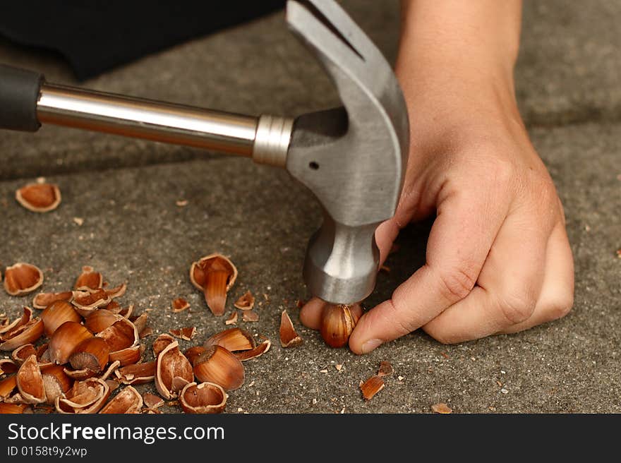 Opening a Hazelnut with a hammer