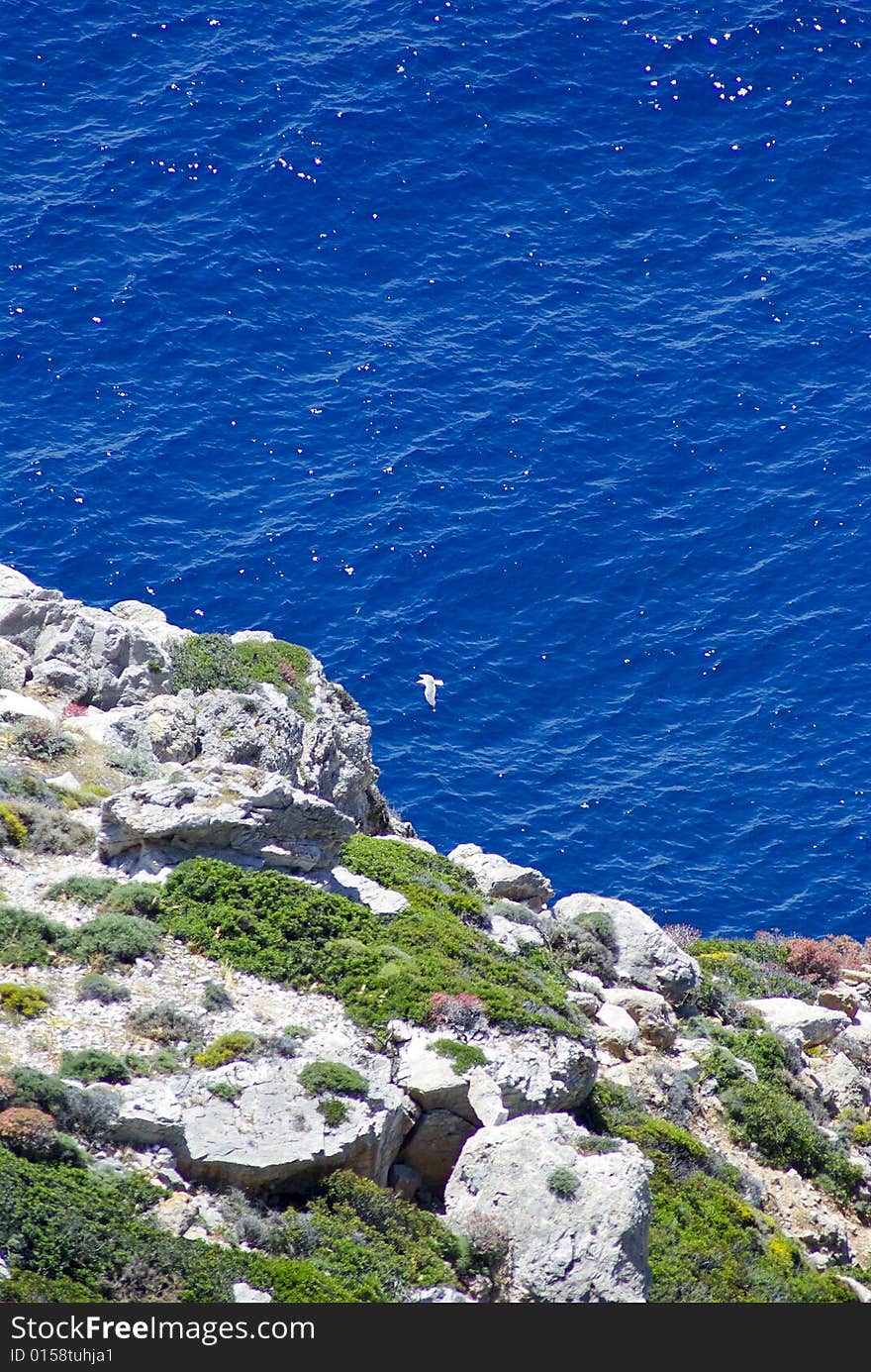 A Seagull  flying over the sea in Folegandros. A Seagull  flying over the sea in Folegandros