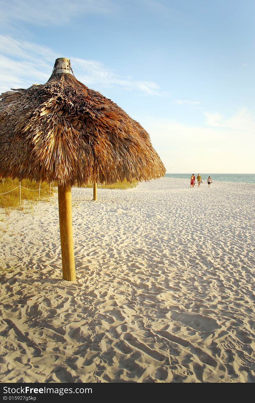 Palm tree umbrella on the beach in Florida. Palm tree umbrella on the beach in Florida