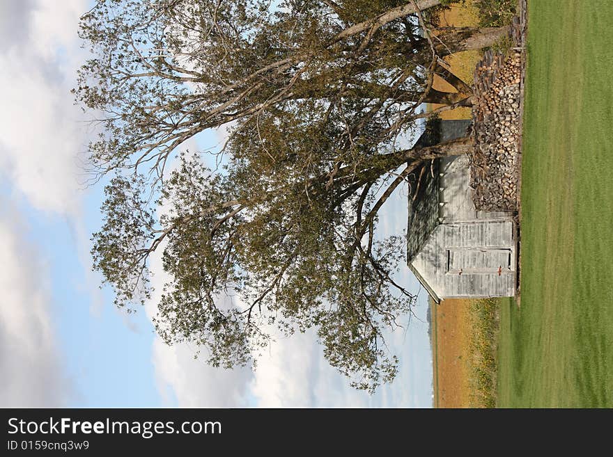 An old shed under trees on a sunny day.