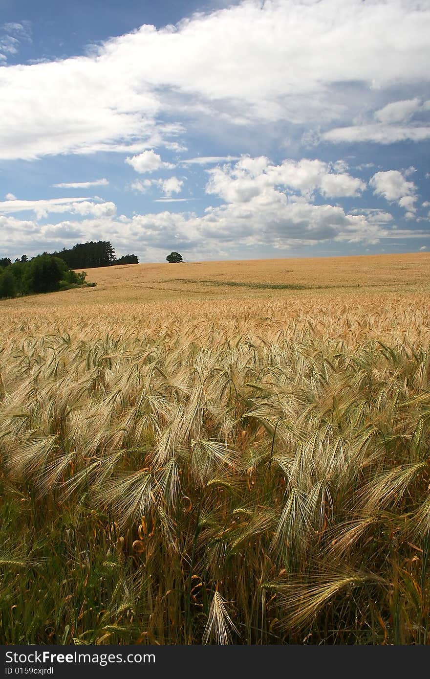 A view from a road in Prokopske valley in the Czech republic. A view from a road in Prokopske valley in the Czech republic