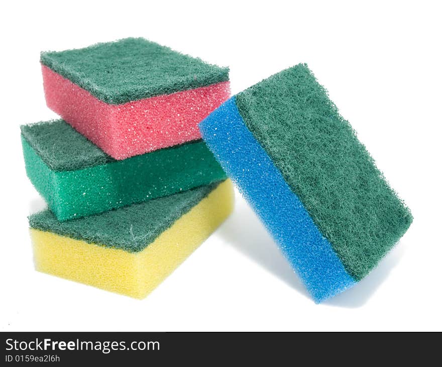 Sponges