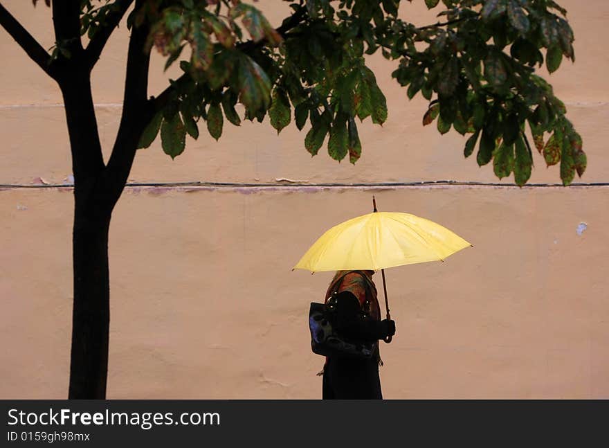 Yellow umbrella