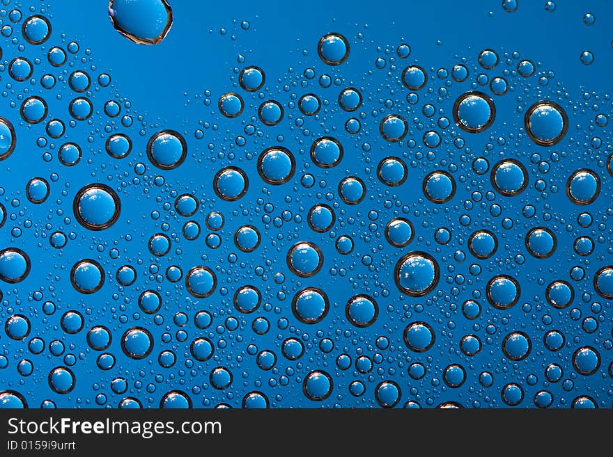 Water Drops