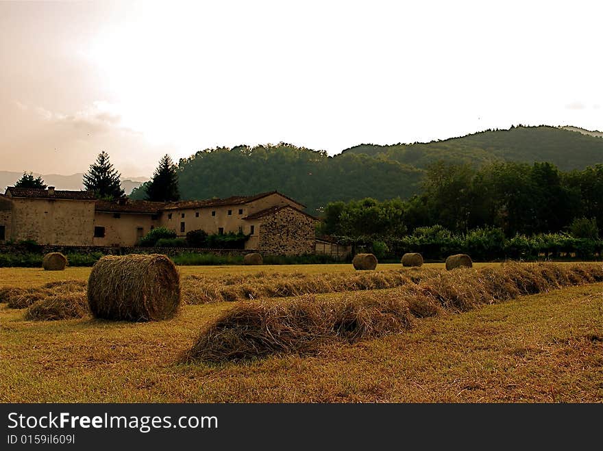 Italians country during cut hay. Italians country during cut hay