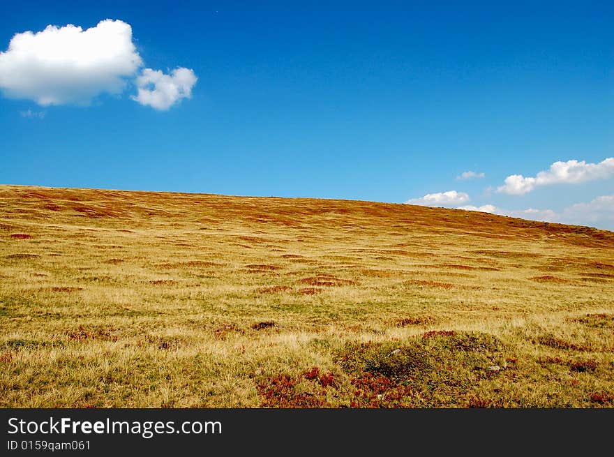 High altitude meadow, mountain top. High altitude meadow, mountain top