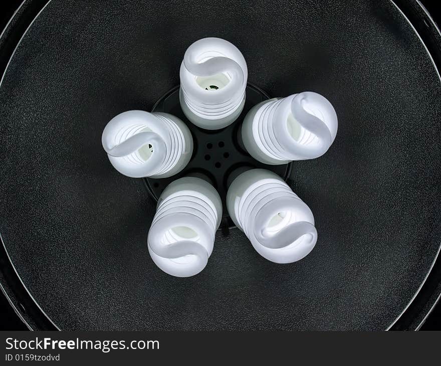 Compact Fluorescents 5 spiral bulbs front view