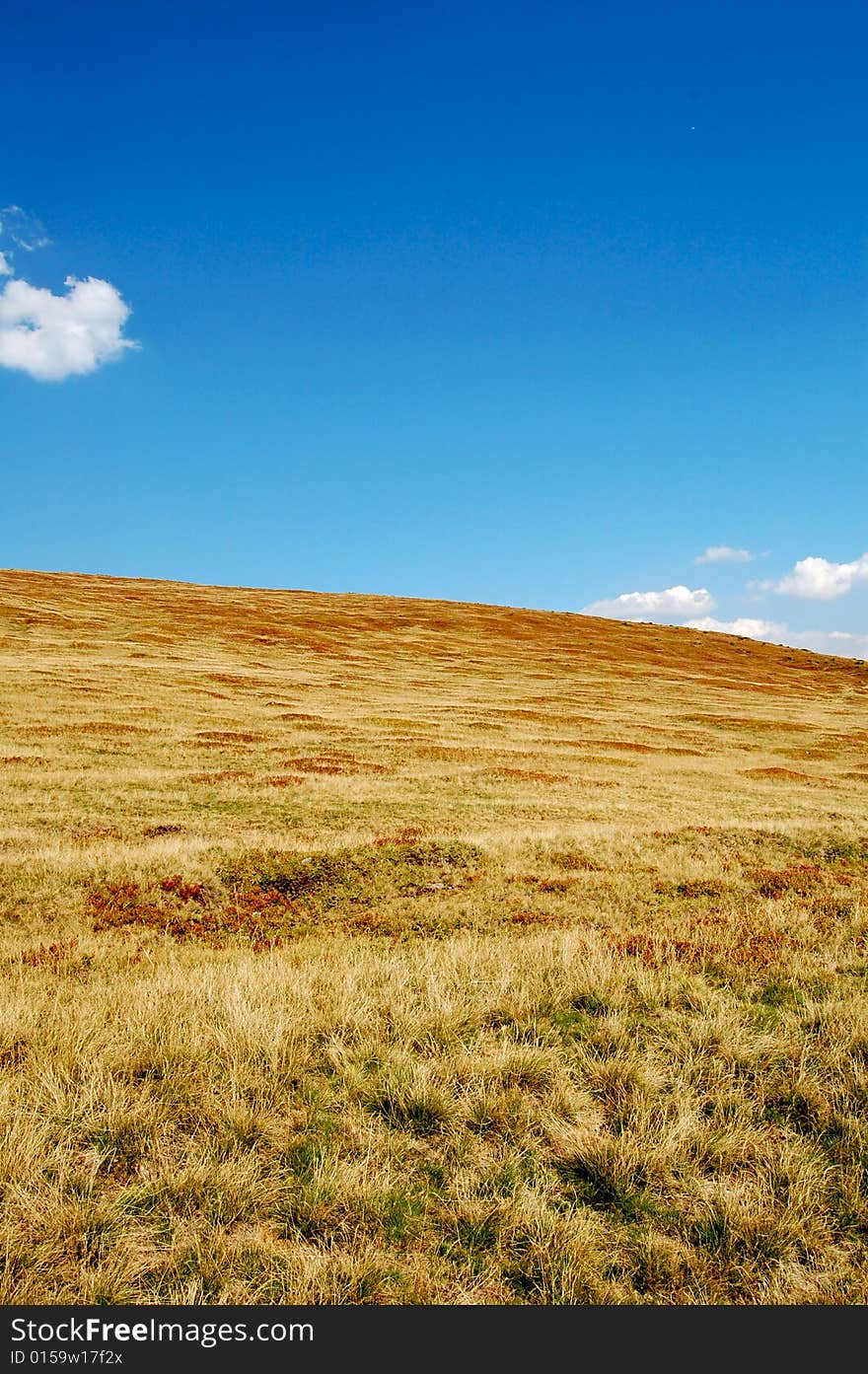 High altitude meadow, mountain top. High altitude meadow, mountain top