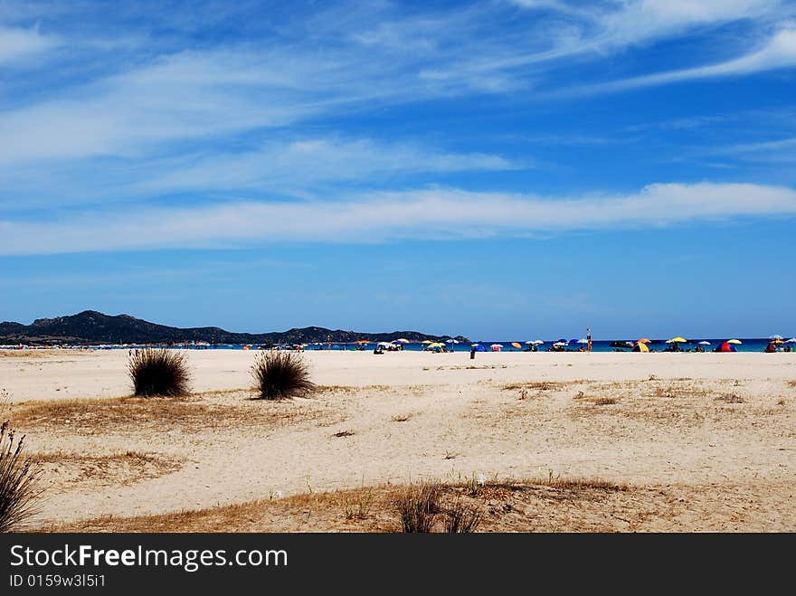 Beach landscape