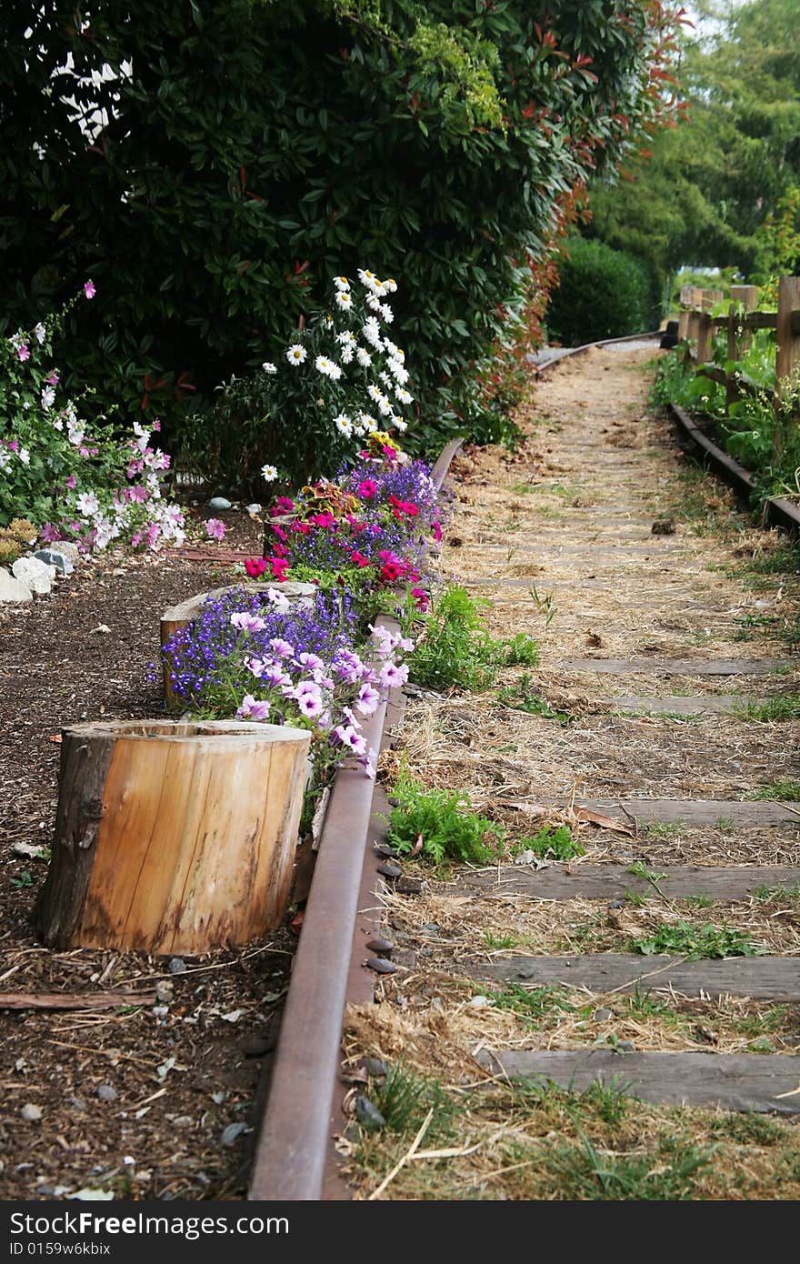 Rail and colorful summer flower at rural. Rail and colorful summer flower at rural