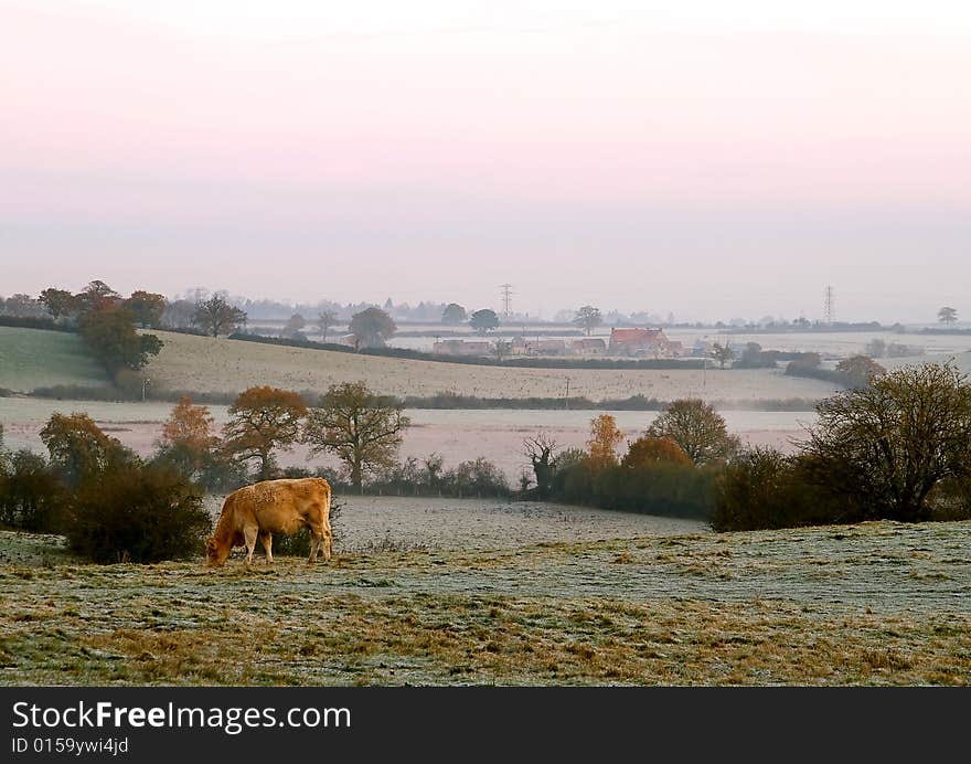 Early morning in Oxfordshire, UK, winter landscape. Early morning in Oxfordshire, UK, winter landscape