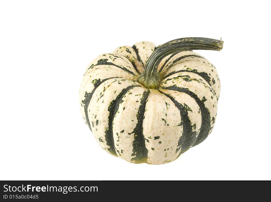 Single pumpkin on white background