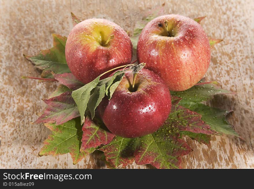 Fresh red apples on maple leaves with rain drops. Fresh red apples on maple leaves with rain drops