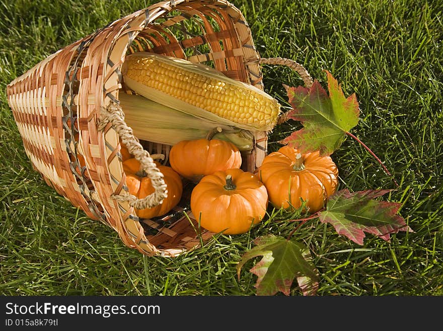 Harvest basket with mini pumpkins and corn