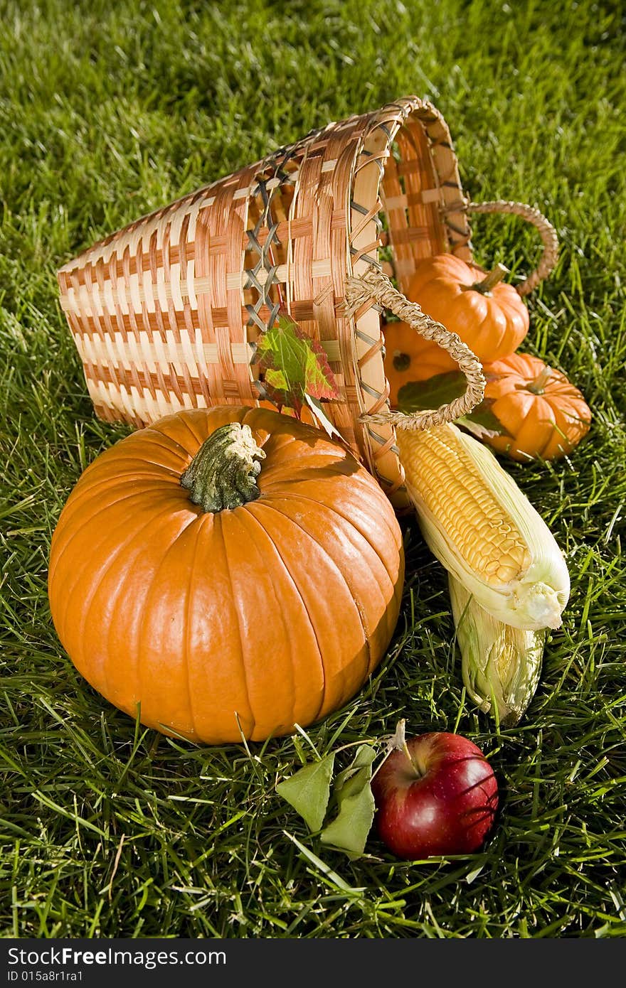 Bright orange pumpkin, corn, apples in a basket. Bright orange pumpkin, corn, apples in a basket