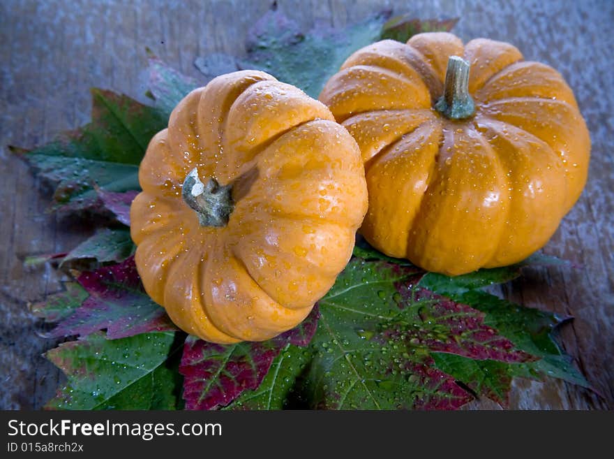 Bright orange pumpkins in the night