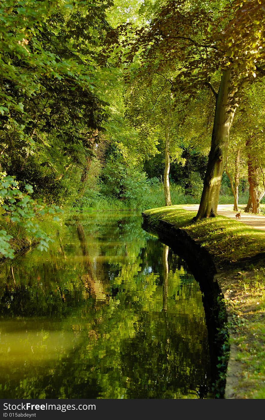 River with trees on the side in the summer day. River with trees on the side in the summer day