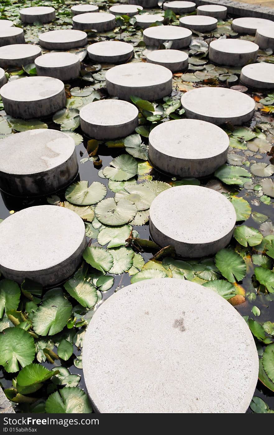 The round stone footpath in the water